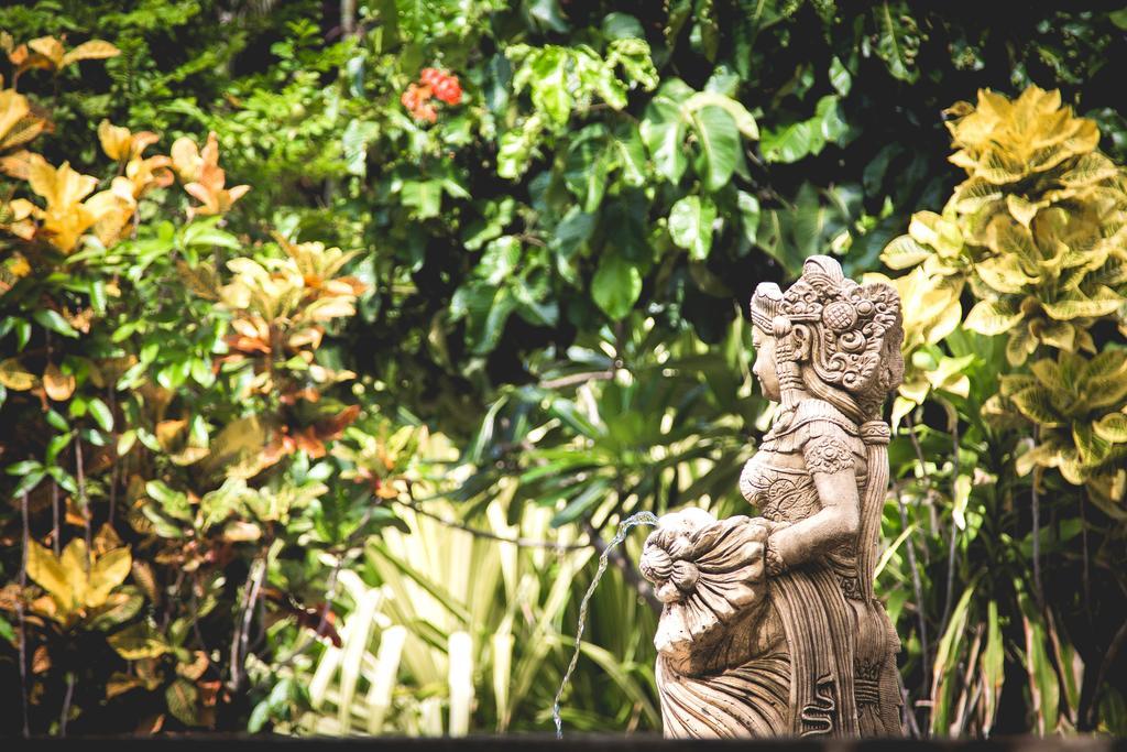 Panya Samui 호텔 보풋 외부 사진